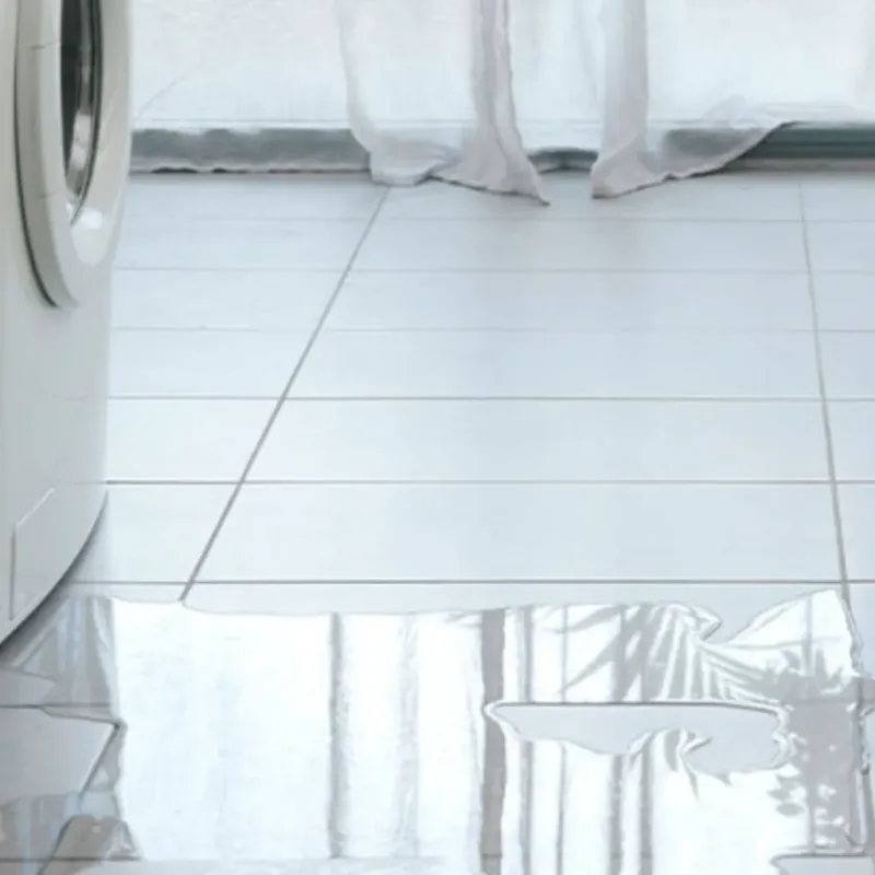 Appliance Leak Cleanup in Hardeeville, SC